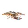 Lobster - Image 2